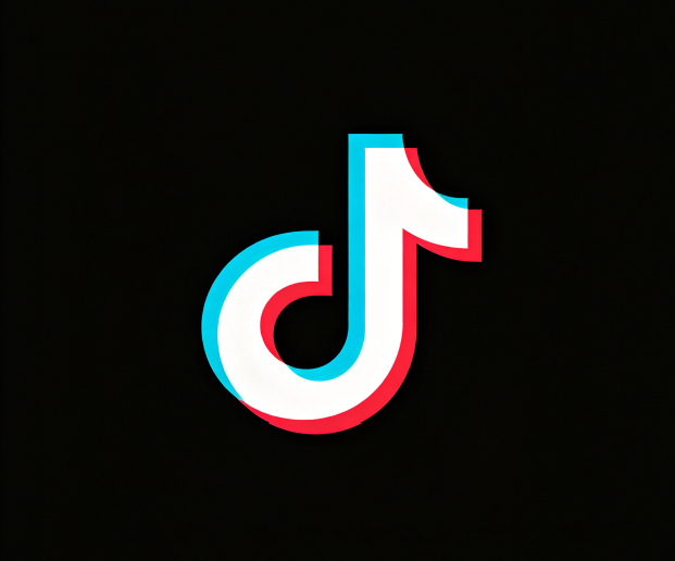 TikTok 独立站/ZJ/不限制账户